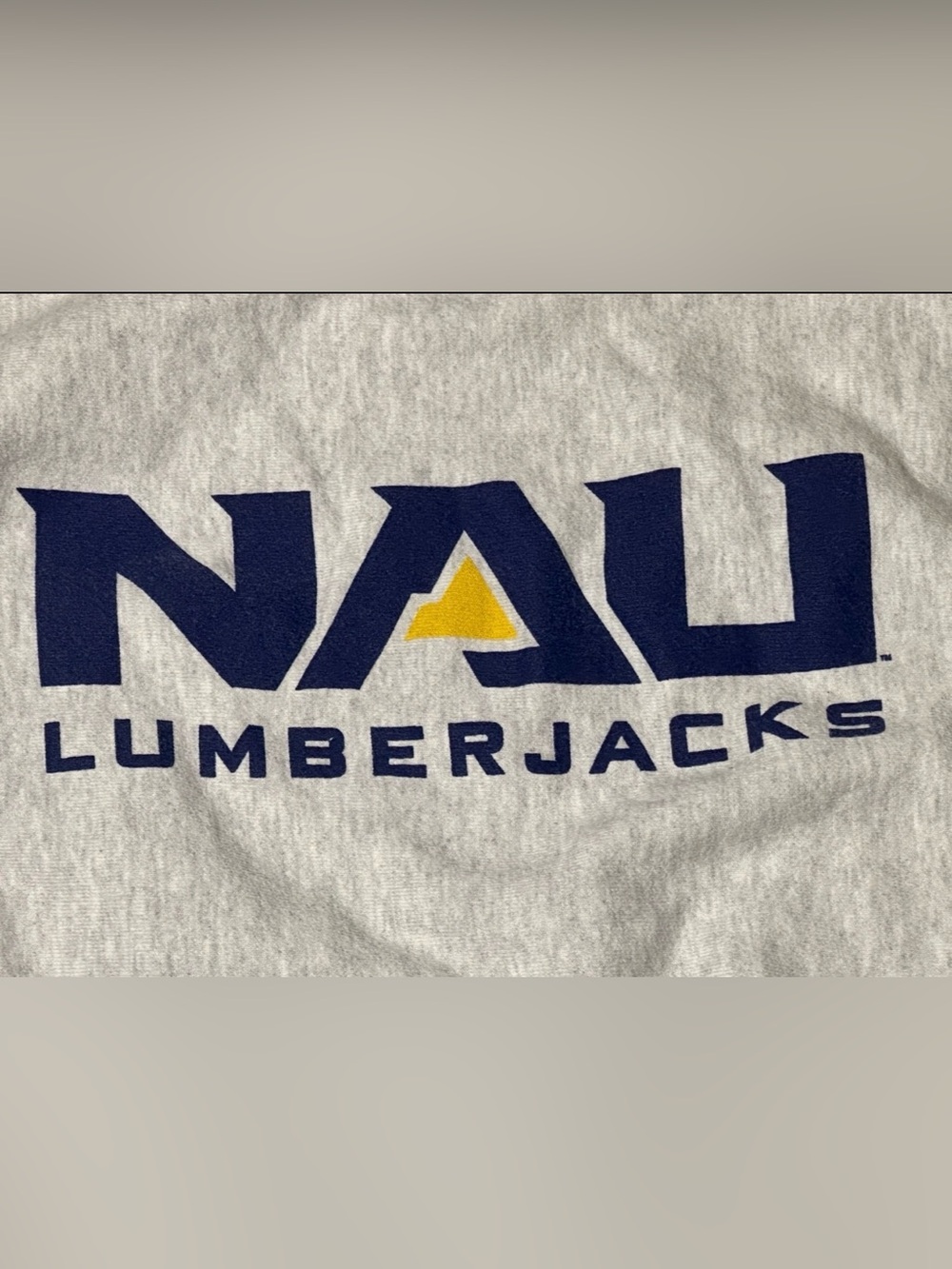 Vintage Y2K Champion Reverse Weave NAU Lumberjacks Sweatshirt M Gray Arizona - Picture 2 of 7